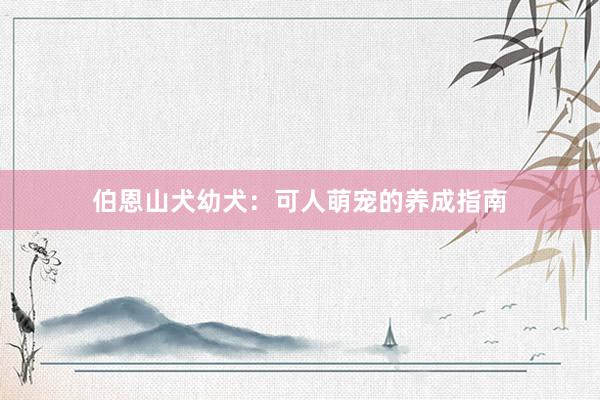 伯恩山犬幼犬：可人萌宠的养成指南