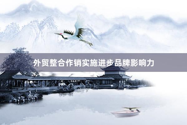 外贸整合作销实施进步品牌影响力